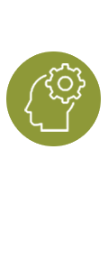 fp_custom